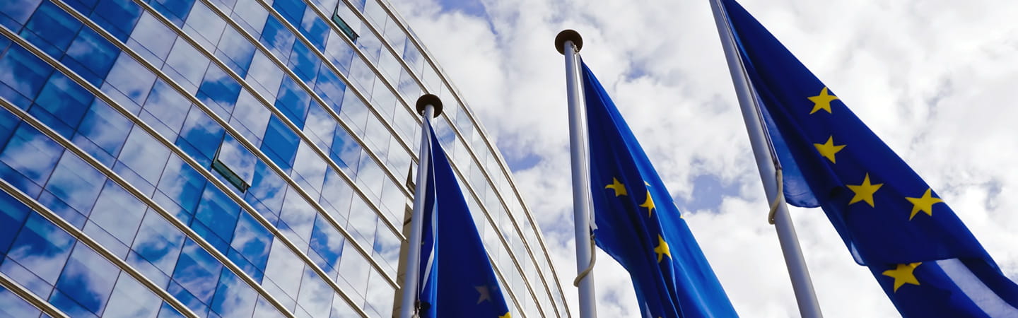 EU flags i front of glass building