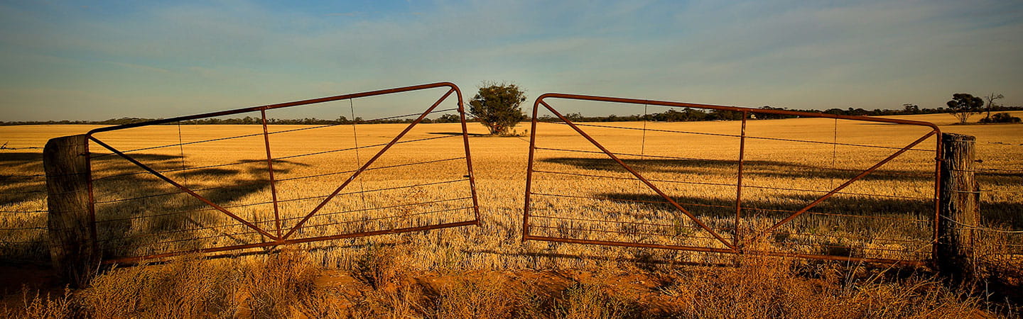 Two half opened rusty gates opening to dry grassy landscape
