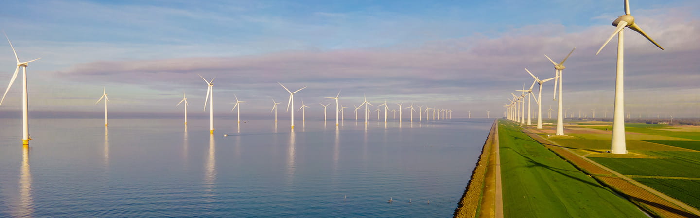 Feasibility Licences for Offshore Wind Projects 