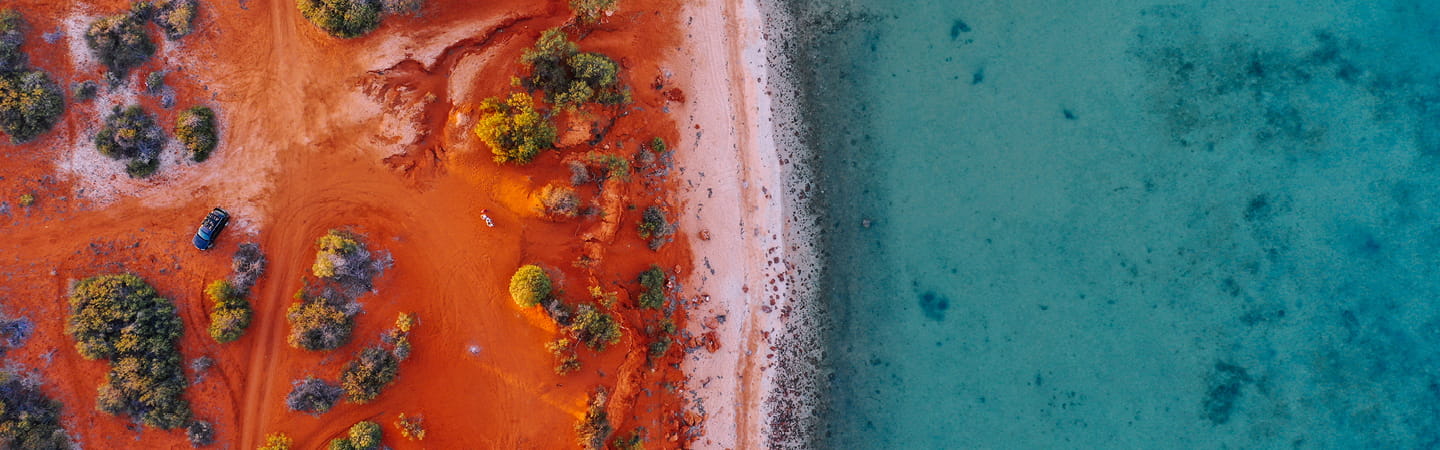 Aerial view of trees in red soil next to blue ocean