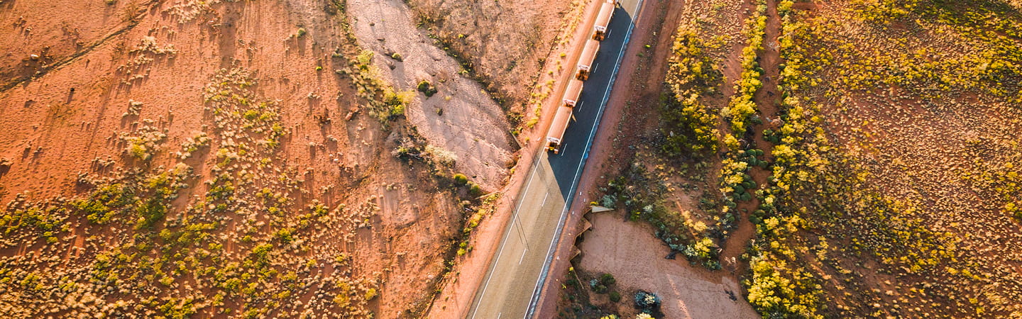 Aerial view of B-double truck on road through dry tree landscape