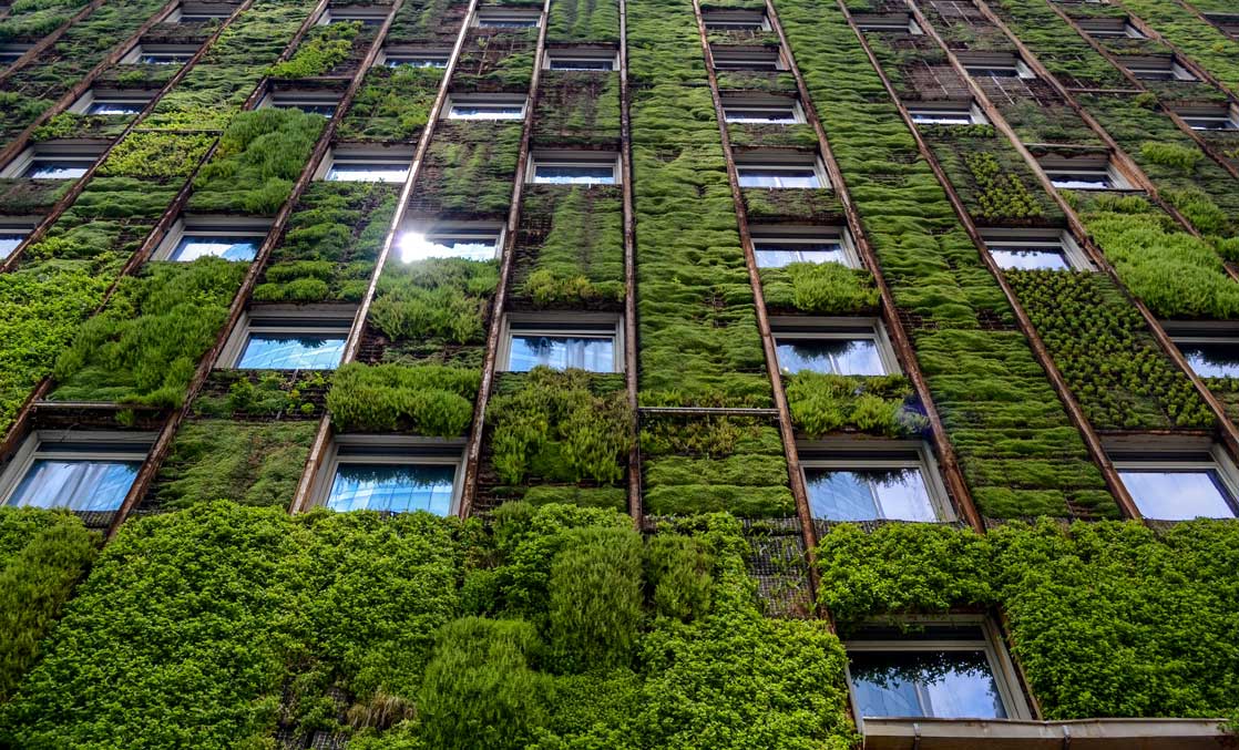 green wall Reimagining Real Estate