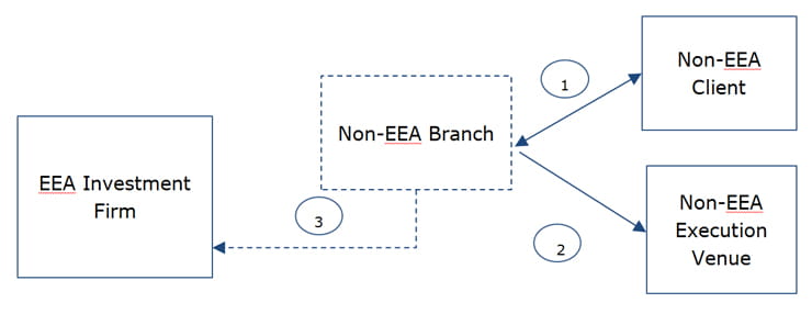 diagram of branch model