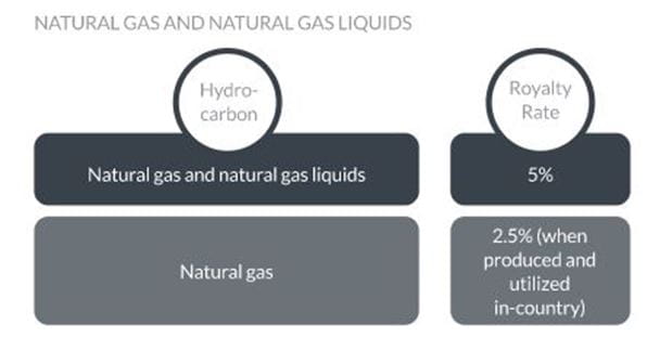 natural gas and natural gas liquids